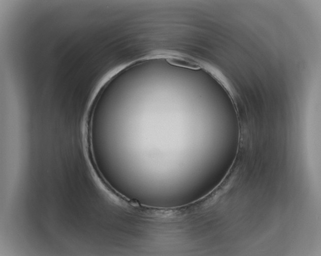 X0000110981003200906261425