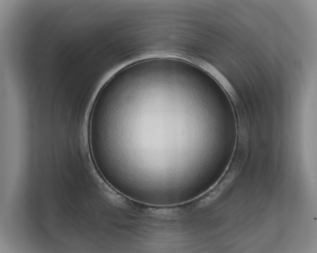 X0000110981004200906261425