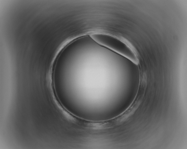 X0000110981005200906261425