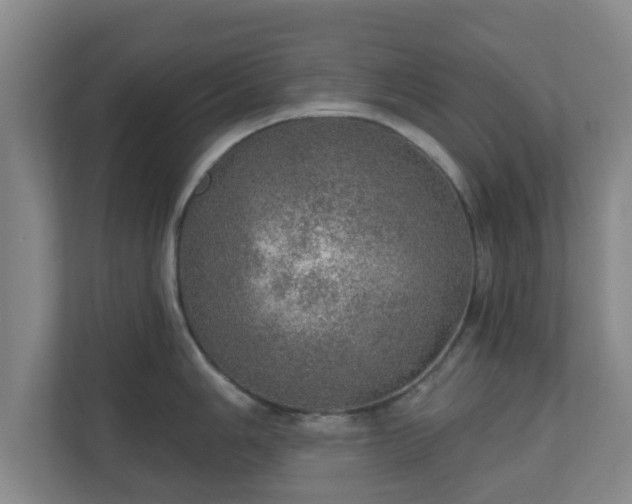 X0000110981006200906261425