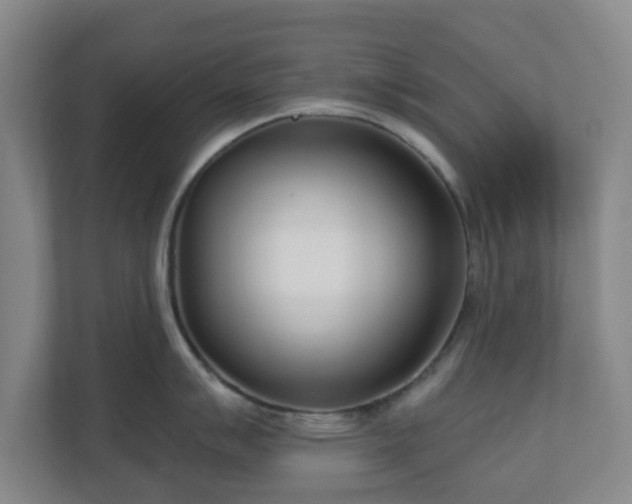 X0000110981007200906261425