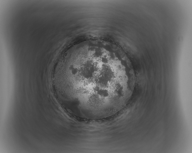 X0000110981009200906261425