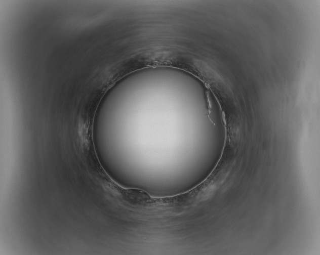 X0000110981010200906261425