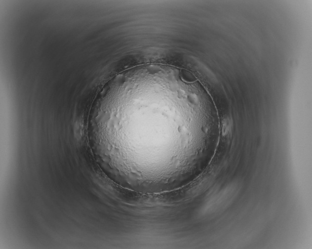 X0000110981011200906261425