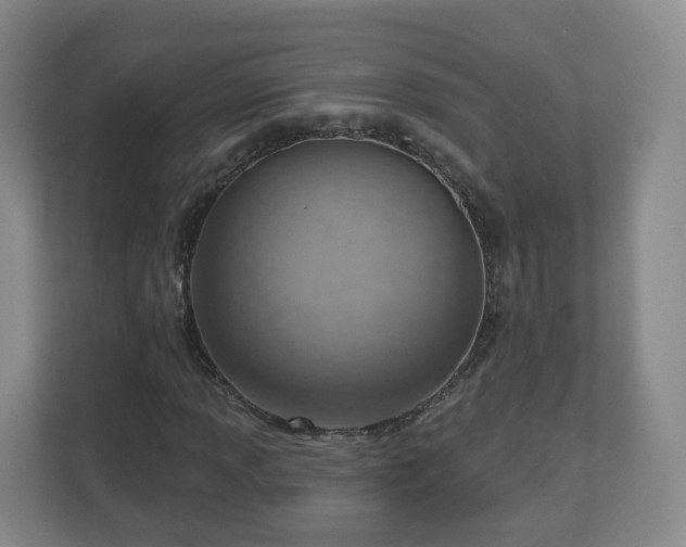 X0000110981013200906261425