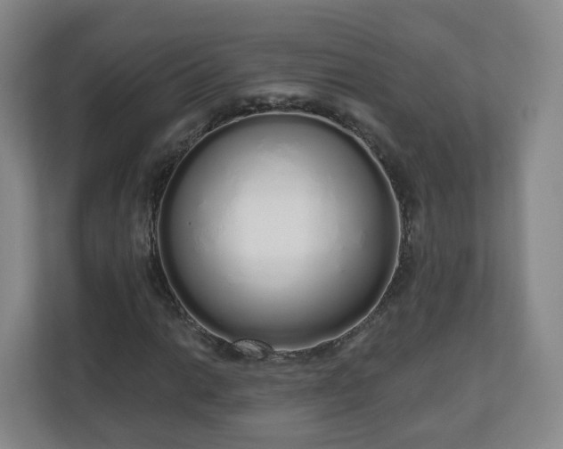 X0000110981014200906261425