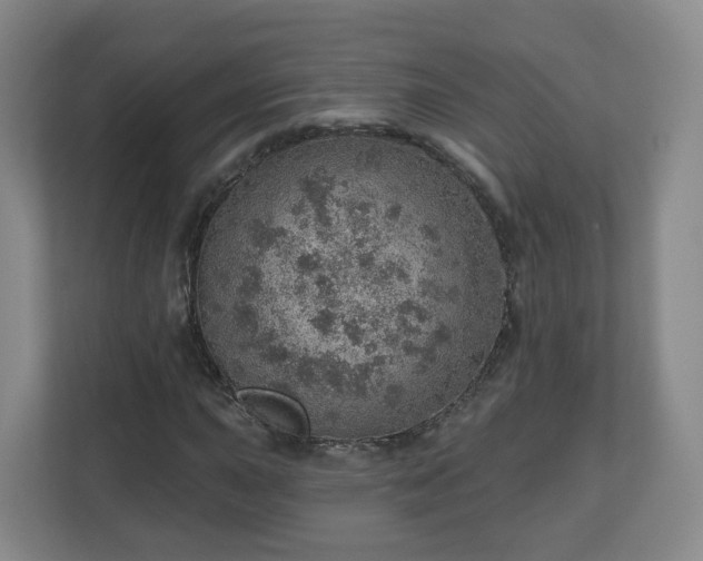 X0000110981015200906261425