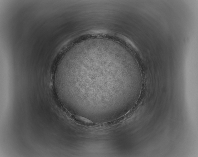 X0000110981016200906261425