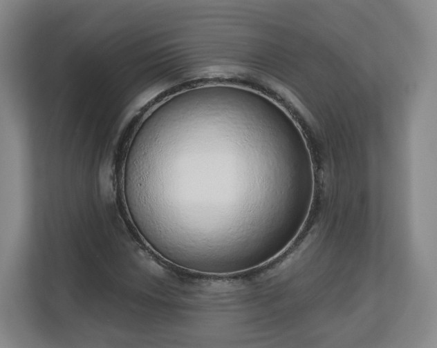 X0000110981018200906261425