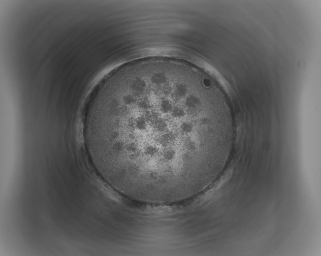 X0000110981019200906261425