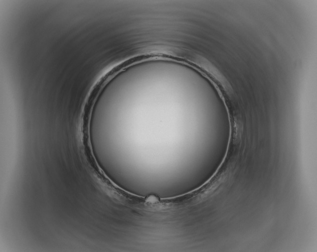 X0000110981020200906261425