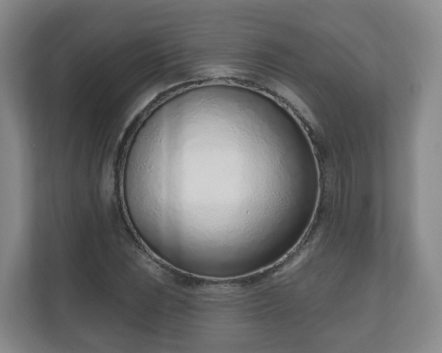 X0000110981023200906261425