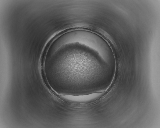 X0000110981024200906261425