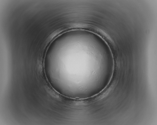 X0000110981025200906261425