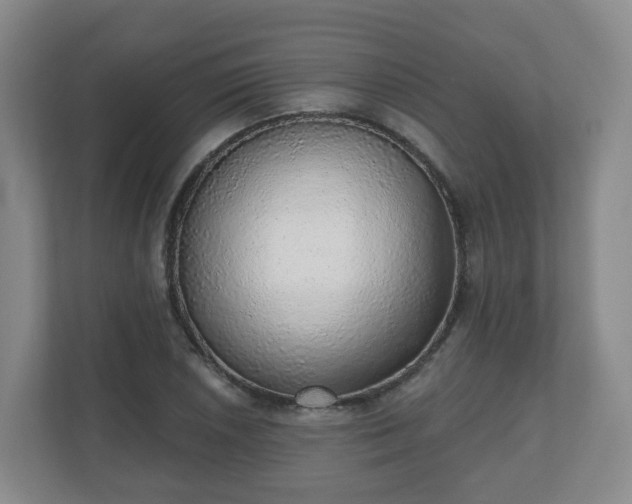 X0000110981026200906261425