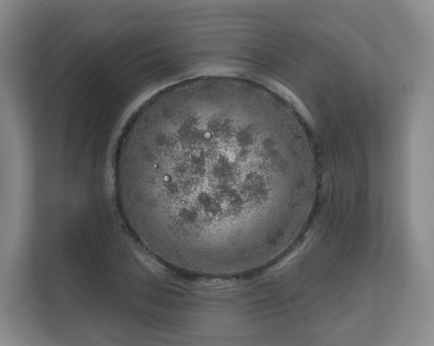 X0000110981027200906261425