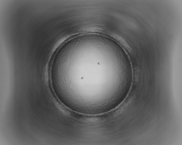 X0000110981031200906261425