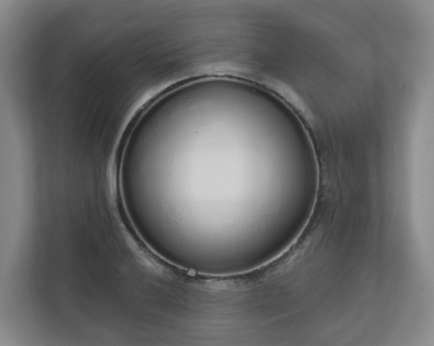 X0000110981032200906261425