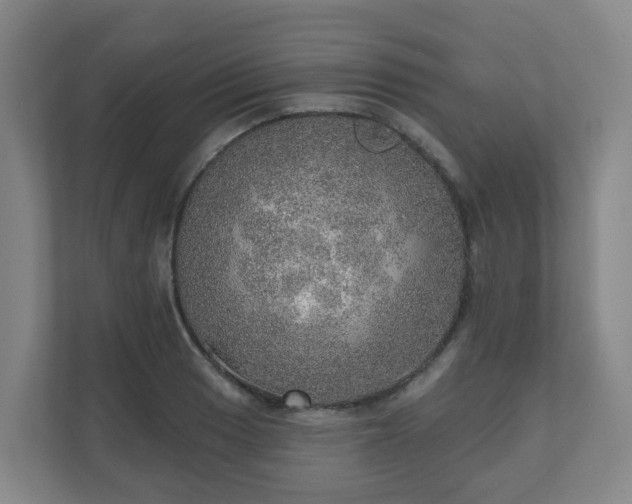 X0000110981033200906261425