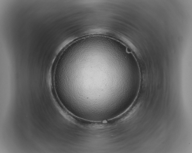 X0000110981034200906261425