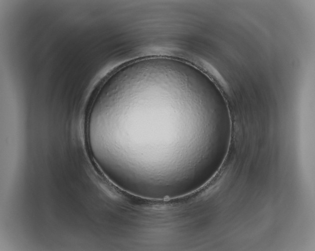 X0000110981035200906261425