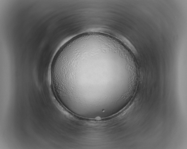 X0000110981036200906261425