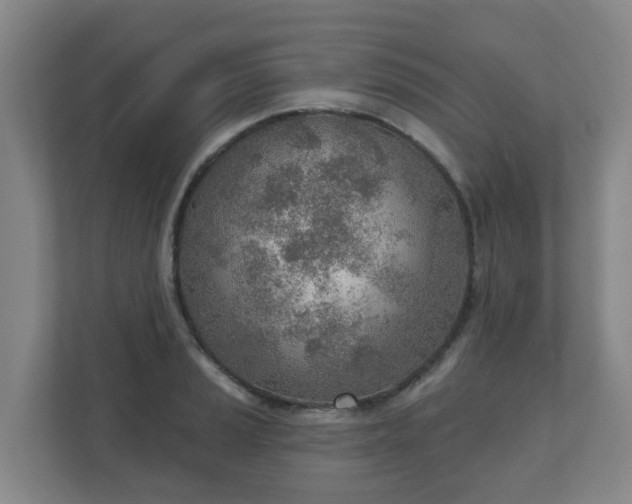 X0000110981037200906261425