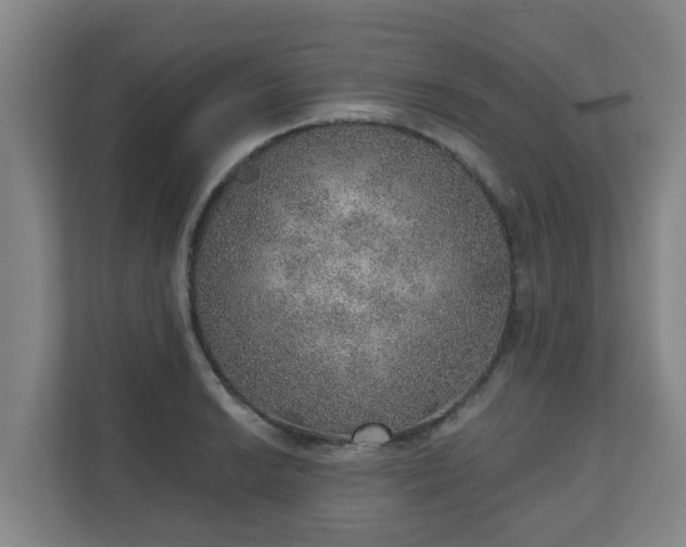 X0000110981038200906261425