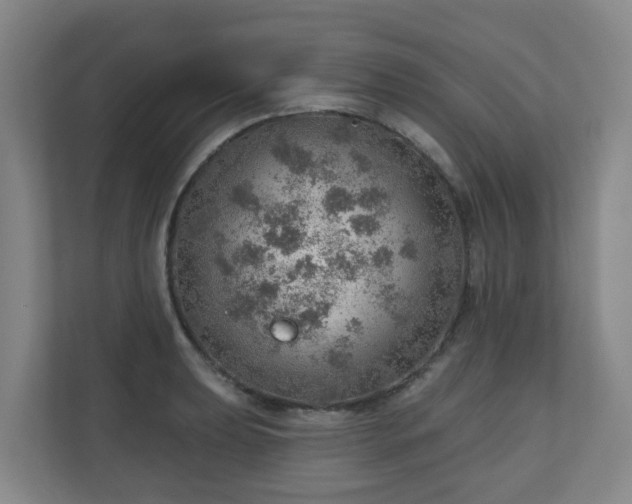 X0000110981039200906261425