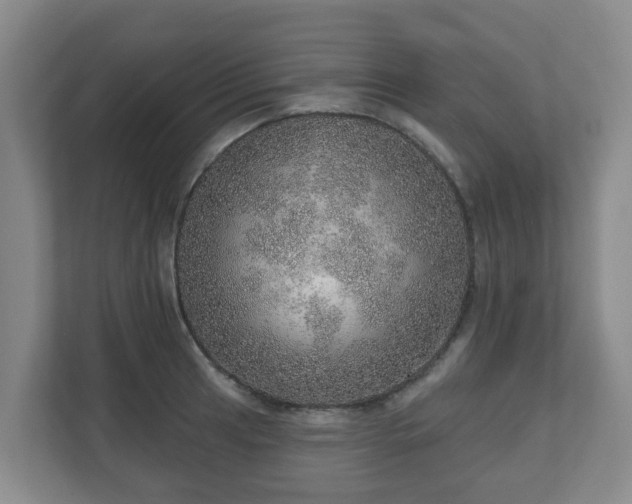 X0000110981041200906261425