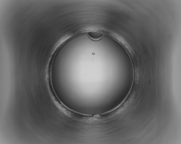 X0000110981042200906261425