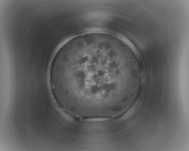 X0000110981043200906261425