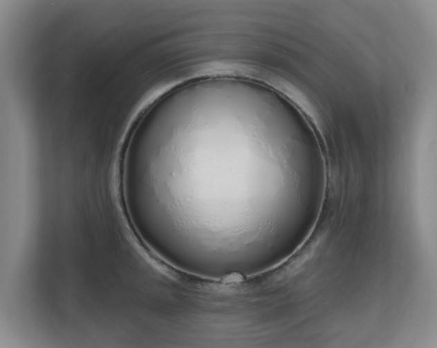 X0000110981045200906261425