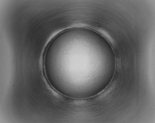 X0000110981046200906261425