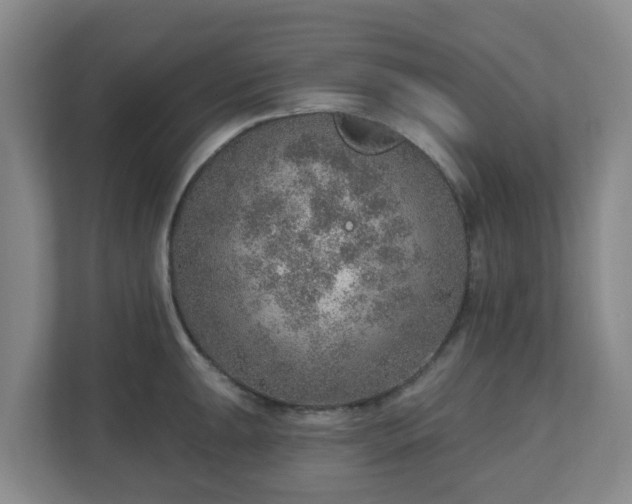 X0000110981047200906261425