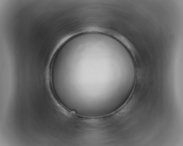 X0000110981048200906261425