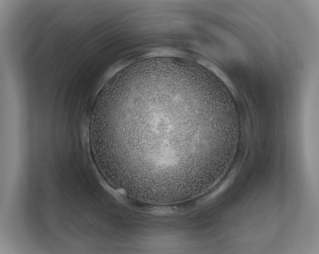 X0000110981049200906261425