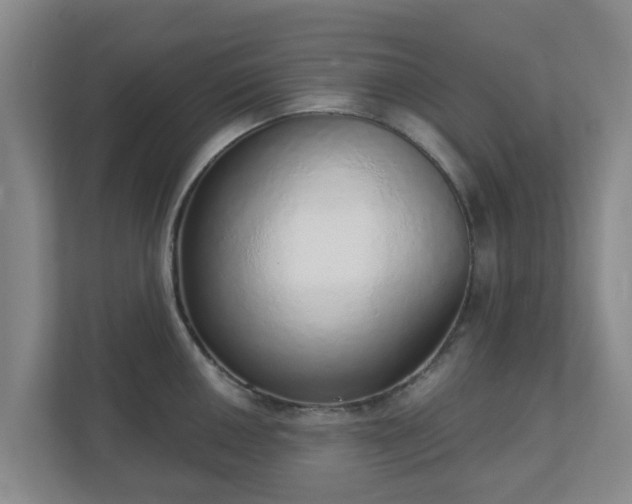 X0000110981050200906261425