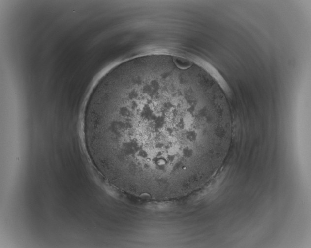 X0000110981051200906261425