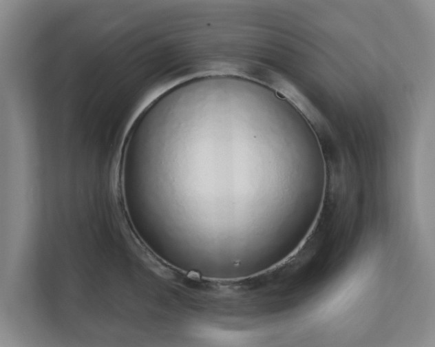 X0000110981052200906261425