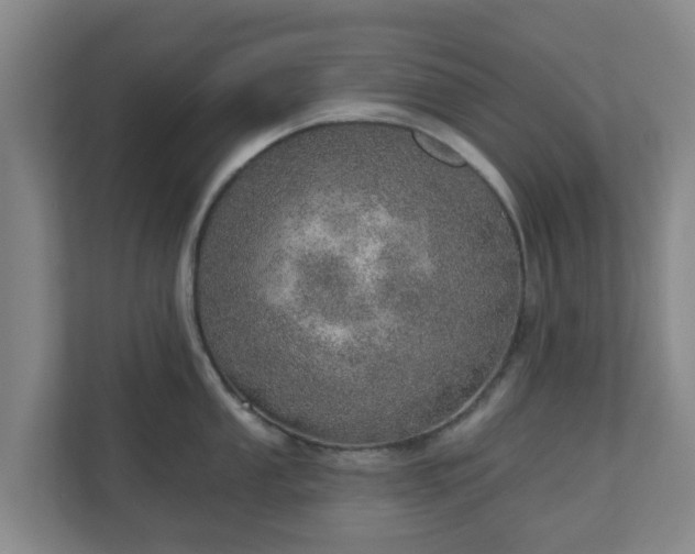 X0000110981053200906261425