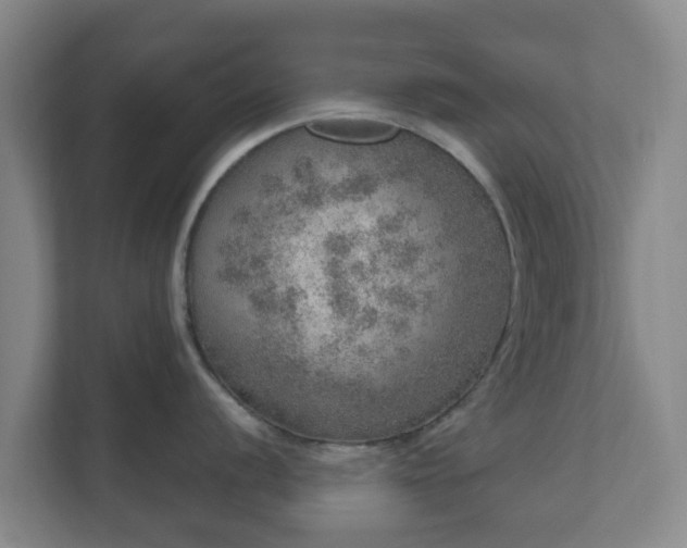 X0000110981056200906261425