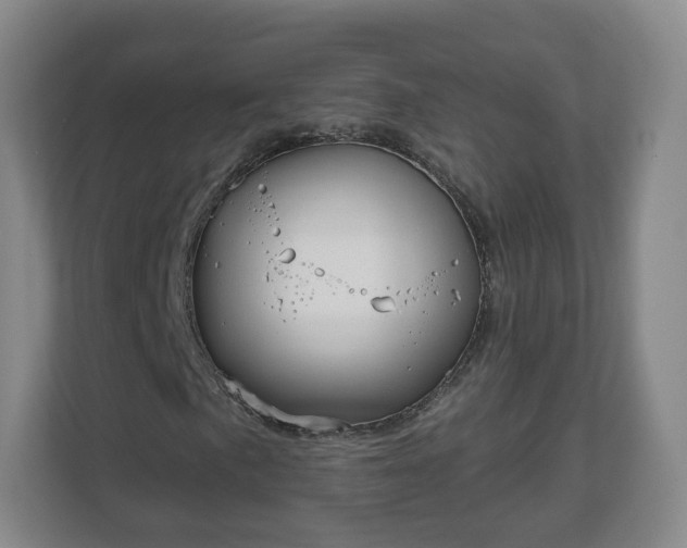 X0000110981057200906261425