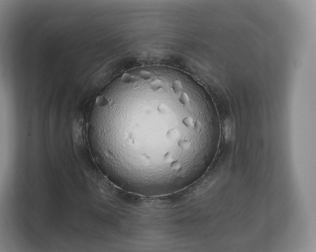 X0000110981059200906261425