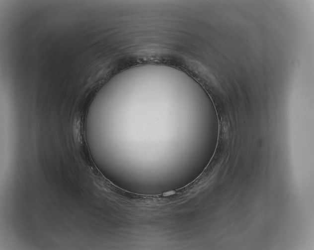 X0000110981060200906261425