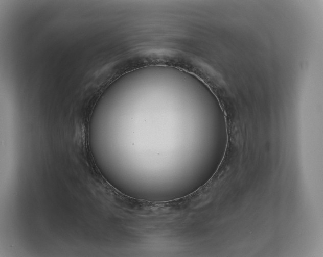 X0000110981061200906261425