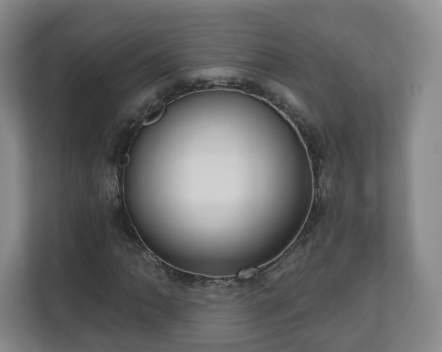 X0000110981062200906261425