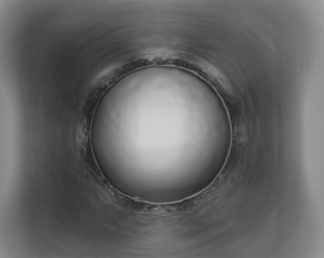 X0000110981063200906261425