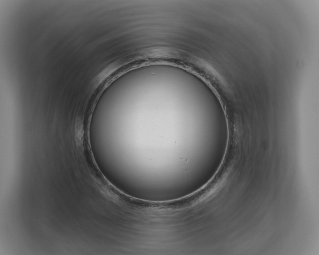 X0000110981065200906261425