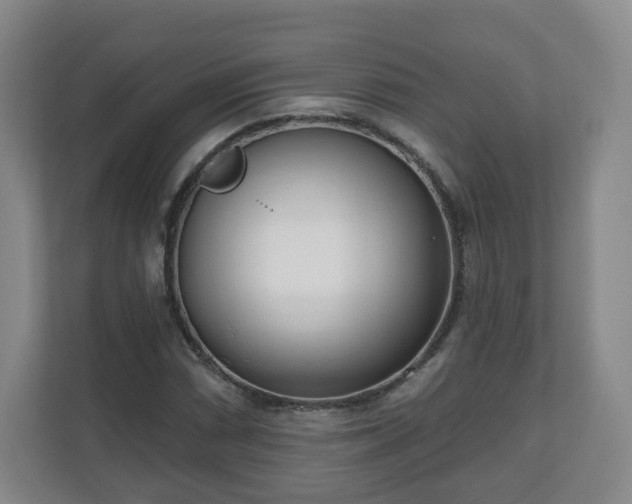 X0000110981066200906261425